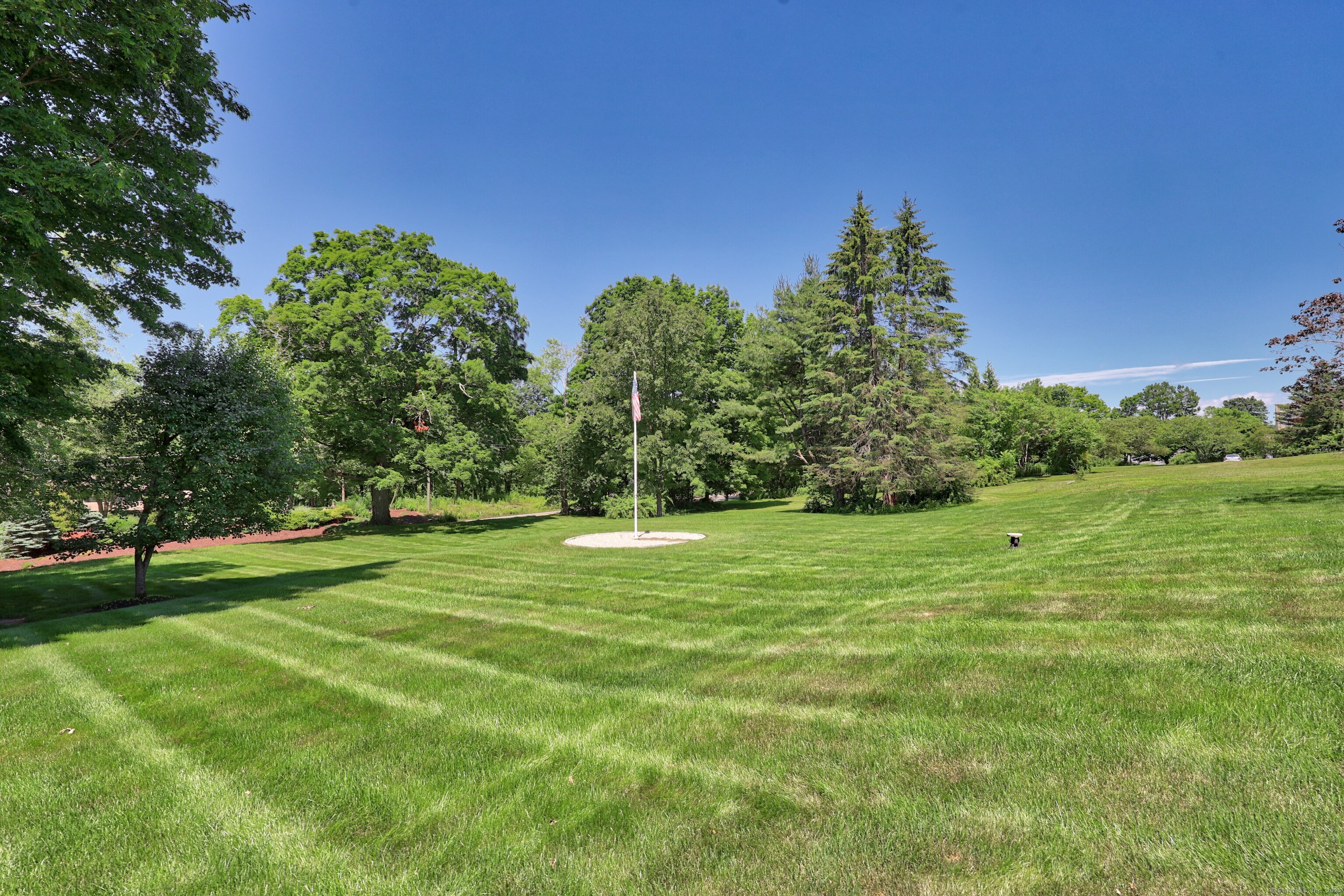 21 Hidden Pond Drive Watertown, CT 06795 - Photo 39 of 40 a big yard with lots of green space and plants