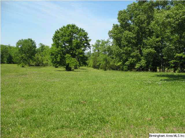 1736 Pine Dale Road Ashville, AL 35953 - Photo 1 of 19