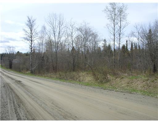 0 Reeves Road Bradford, ME 04410 - Photo 2 of 2 Land/Lot. Looking down road, going...
