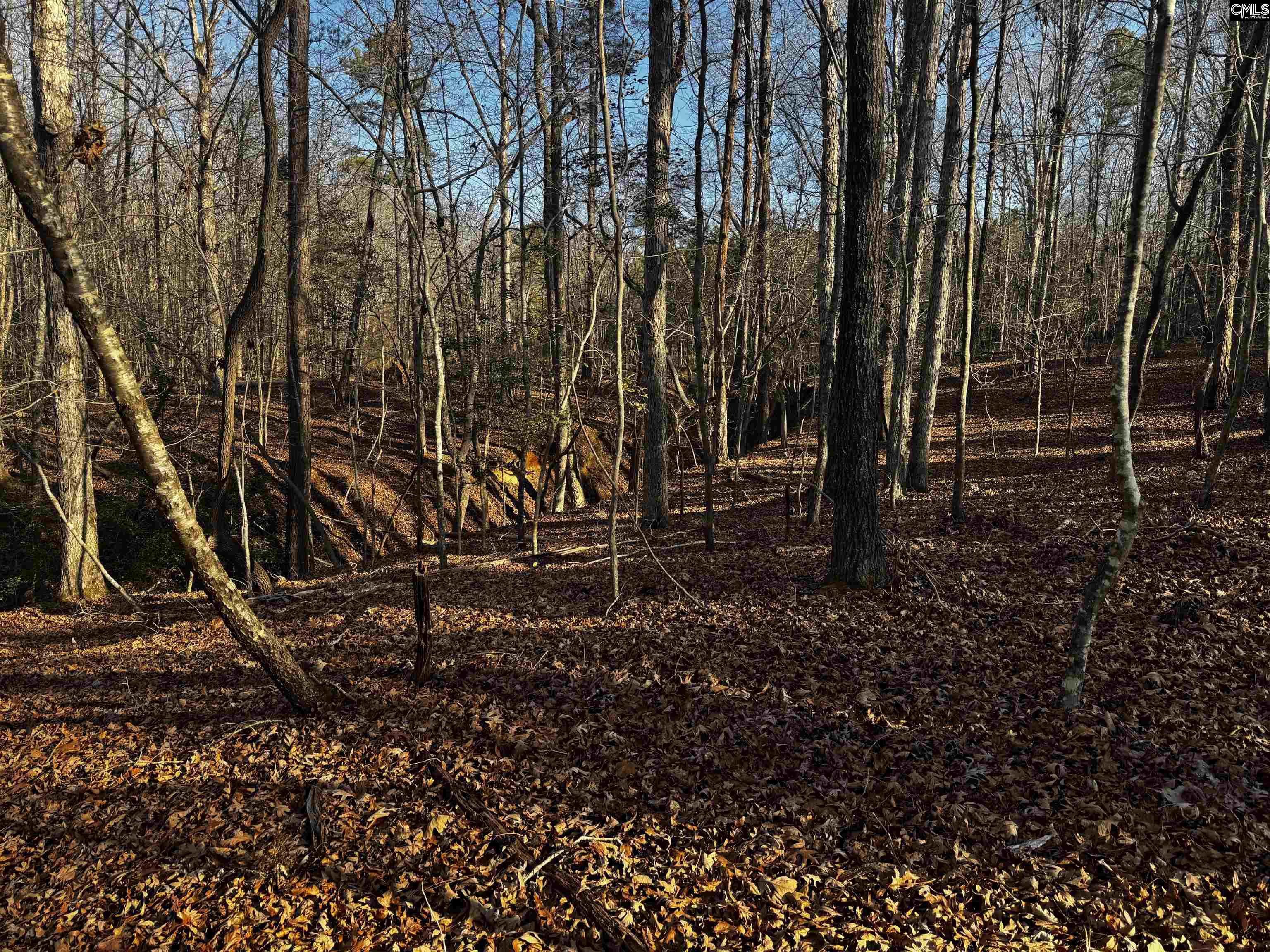 0 Mann Road Winnsboro, SC 29180 - Photo 4 of 22