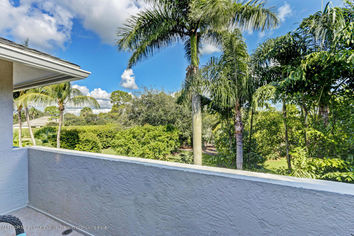 18905 Southeast County Line Road Jupiter, FL 33469 - Photo 47 of 74 a view of a lot of plants and a small yard