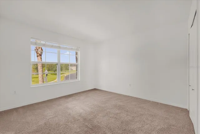 a view of a backyard with large trees