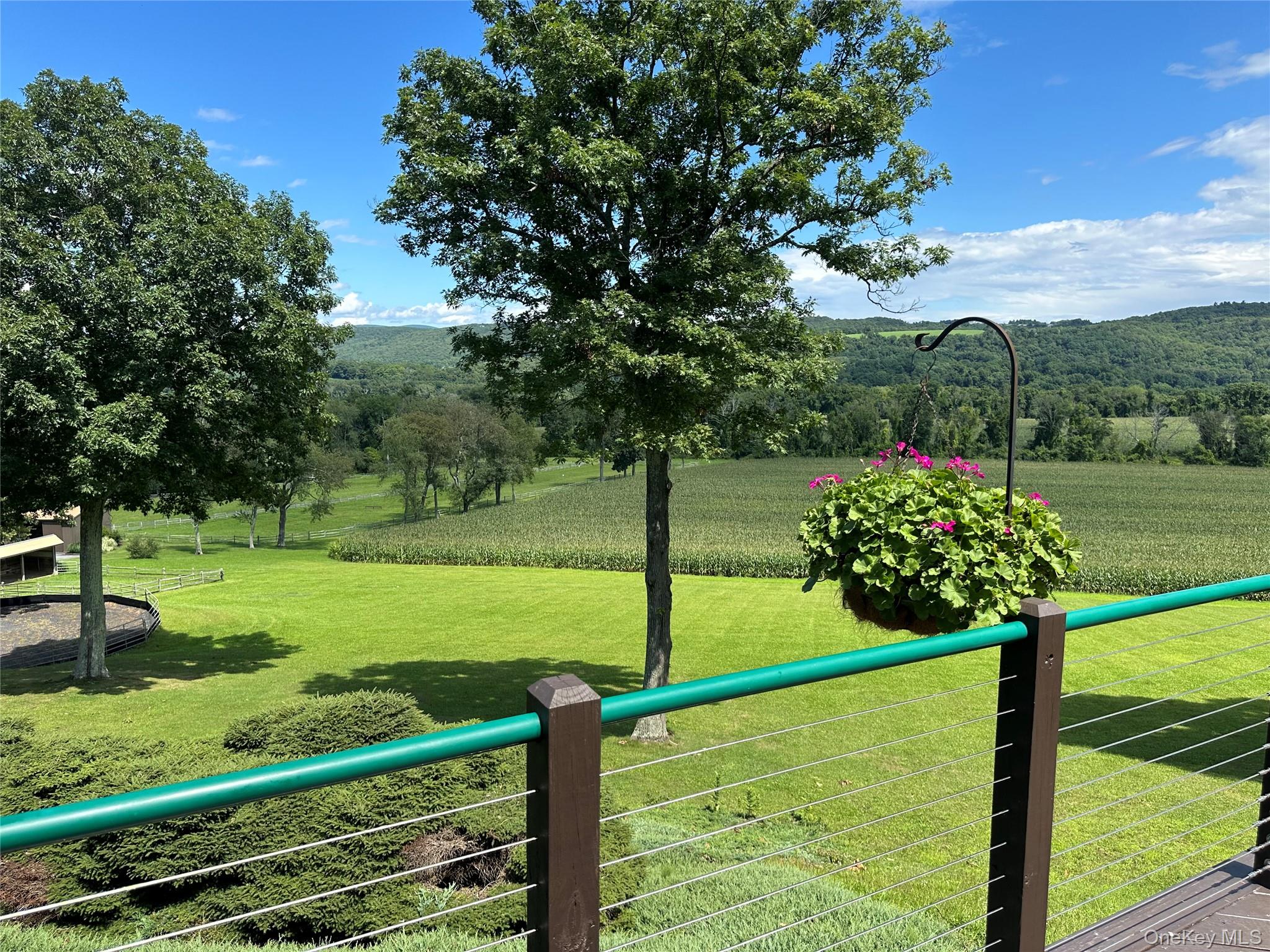 617 Bean River Road Pine Plains, NY 12546 - Photo 2 of 40 a view of a garden with an outdoor space