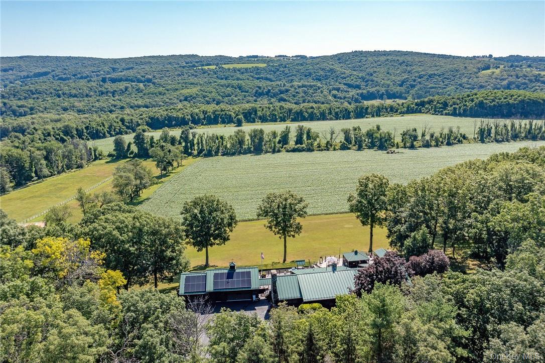 617 Bean River Road Pine Plains, NY 12546 - Photo 3 of 40 an aerial view of a house with a garden and lake view