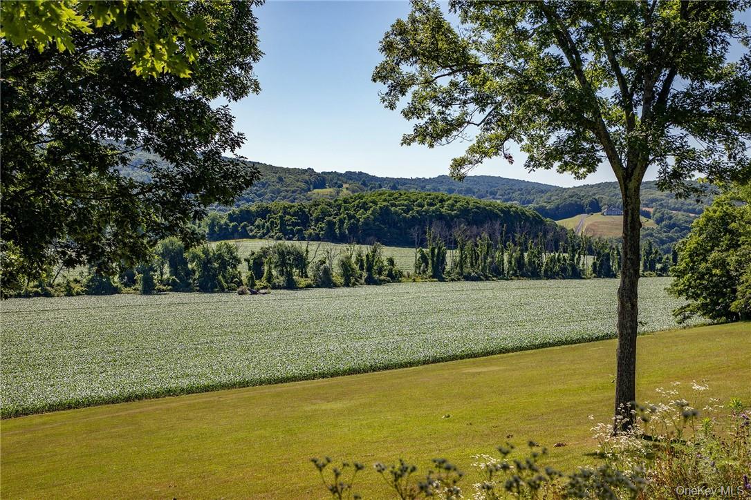 617 Bean River Road Pine Plains, NY 12546 - Photo 33 of 40 a view of an outdoor space and a yard