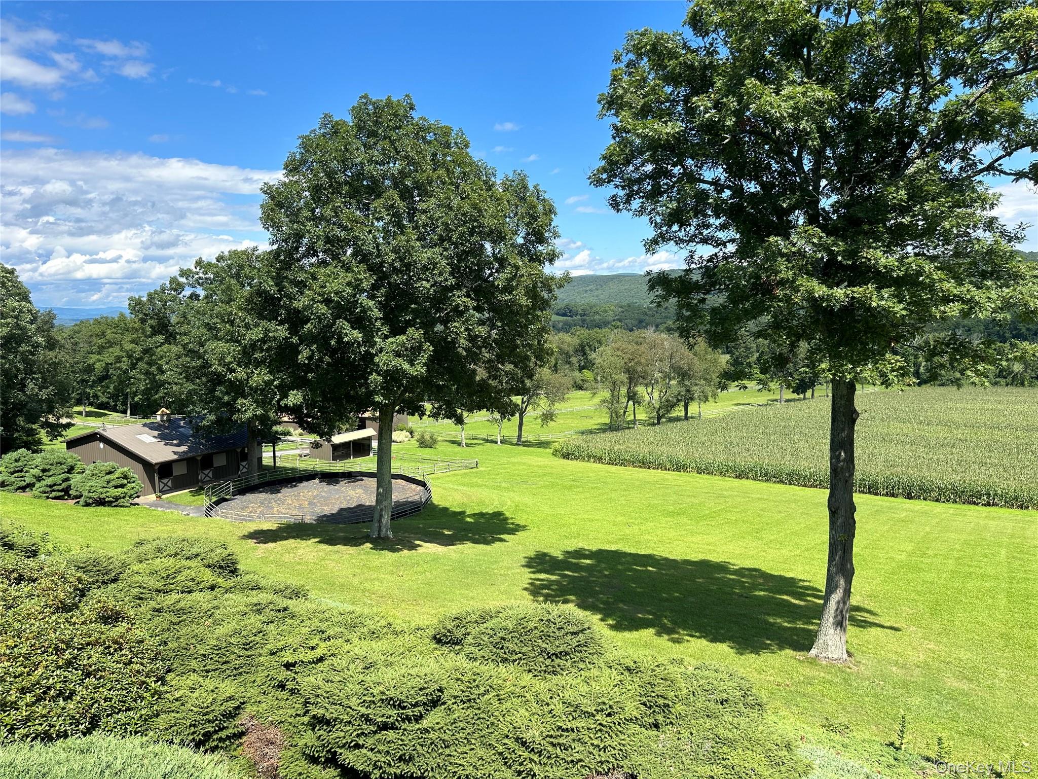 617 Bean River Road Pine Plains, NY 12546 - Photo 38 of 40 a swimming pool with some trees in the background