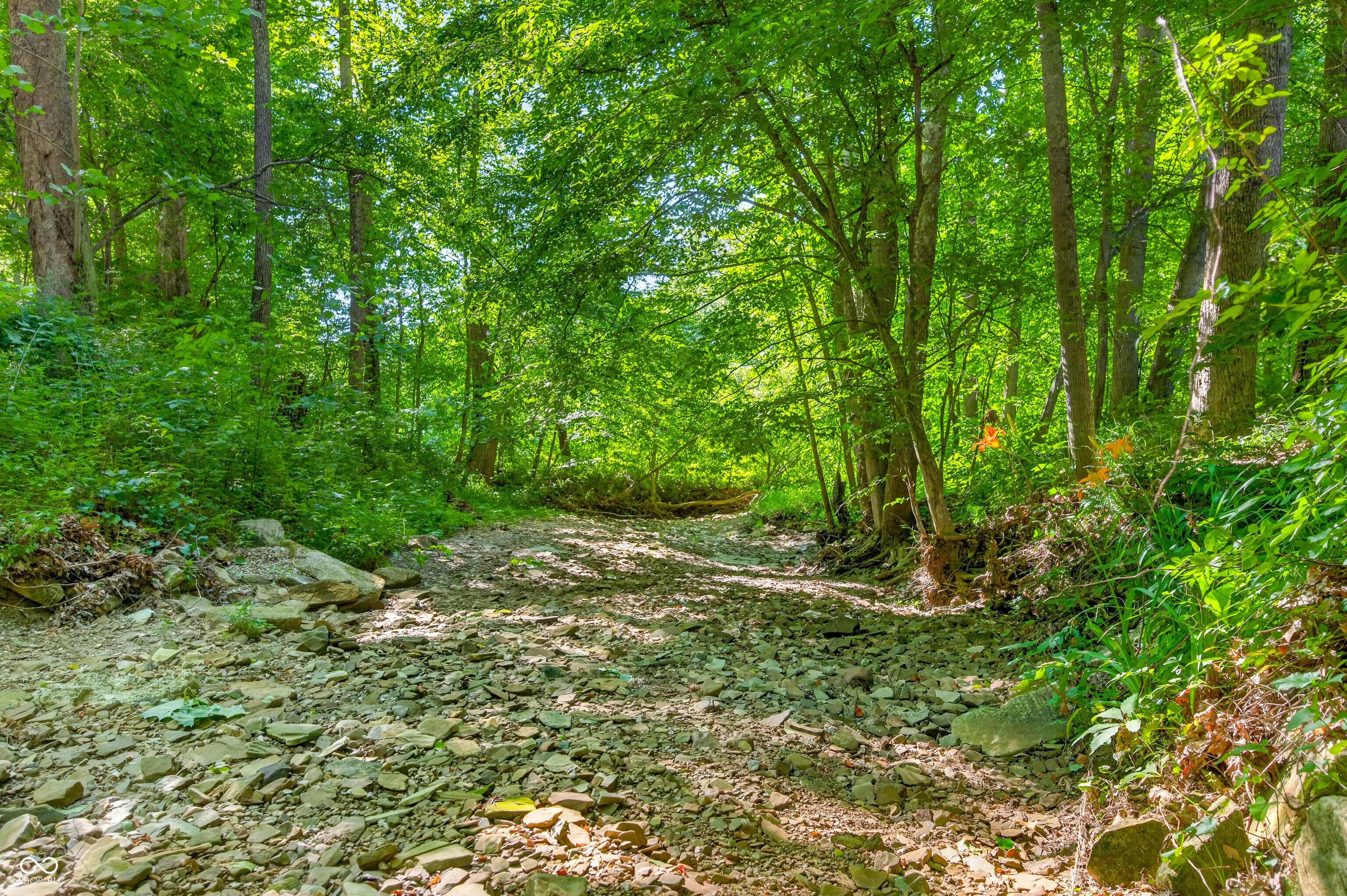 0 Elkinsville Road Nashville, IN 47448 - Photo 4 of 15