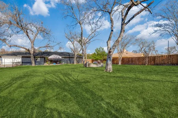 a view of yard with tree s