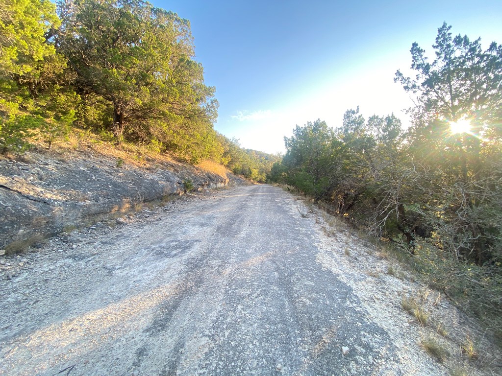 0 Frio Canyon Loop Concan, TX 78838 - Photo 6 of 14 a view of a dry yard with trees in the background