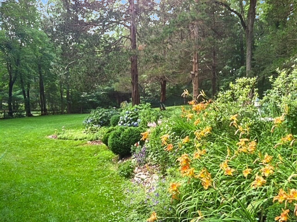 220 Perkins Row Topsfield, MA 01983 - Photo 39 of 42 a view of yard with green space