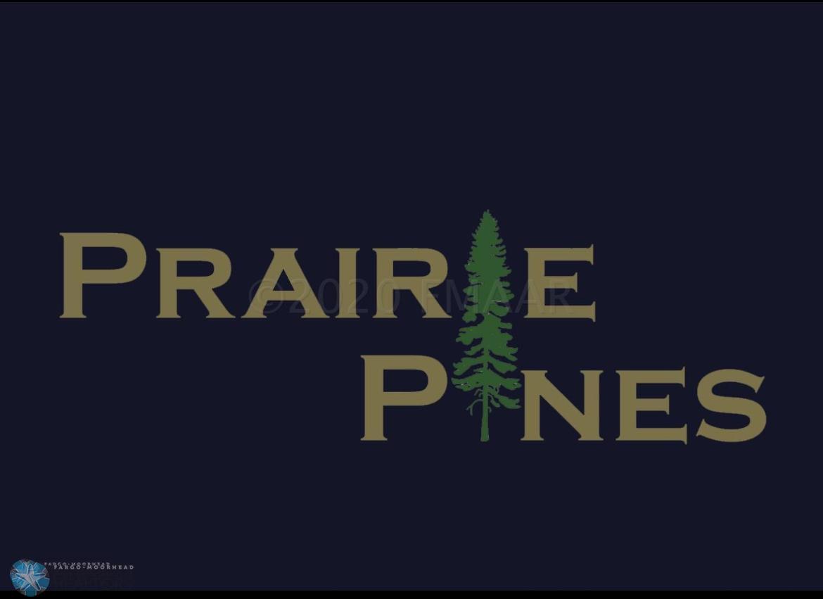 306 Pine Drive Hankinson, ND 58041 - Photo 3 of 3