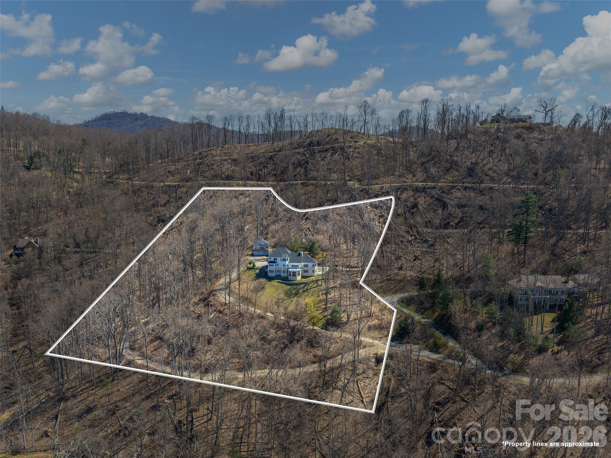 33 Elk Ridge Drive Weaverville, NC 28787 - Photo 48 of 48