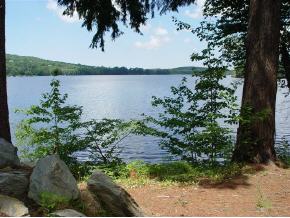782 East Shore Road Hinesburg, VT 05461 - Photo 5 of 5 Gallery Image 5
