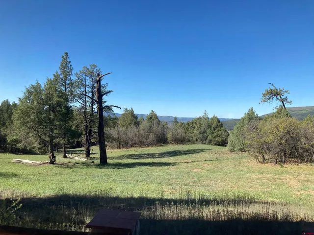 $1,449,000 | 219 South Cougar Court, Pagosa Springs, CO 81147