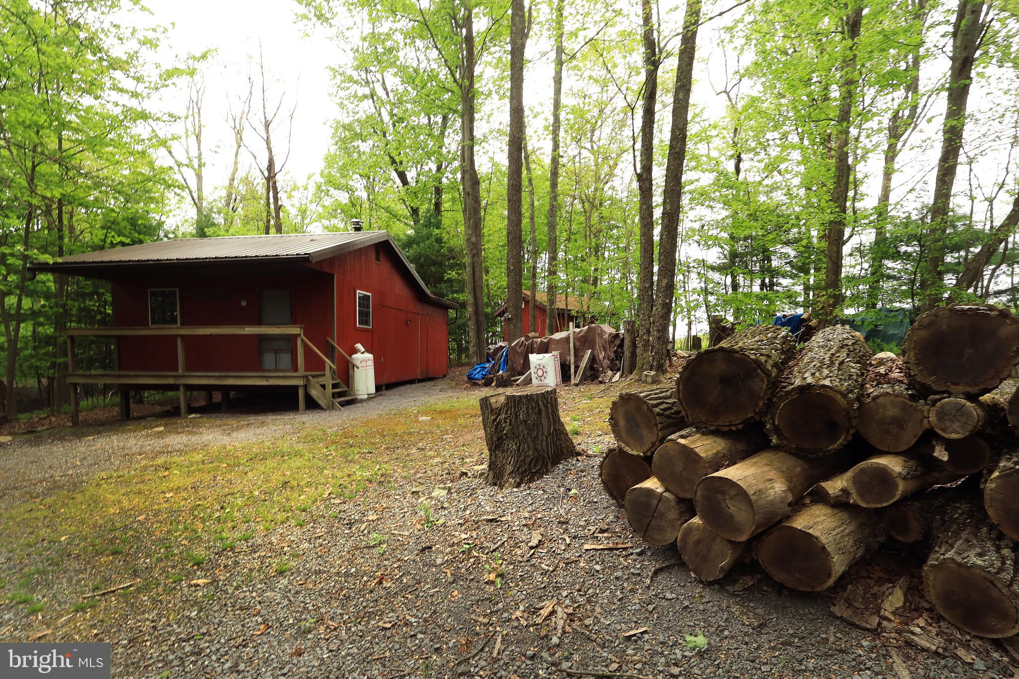 299 Snow Shoe Mountain Forest Road Snow Shoe, PA 16874 - Photo 27 of 27