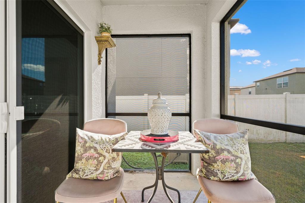 6744 Back Forty Loop Zephyrhills, FL 33541 - Photo 39 of 56