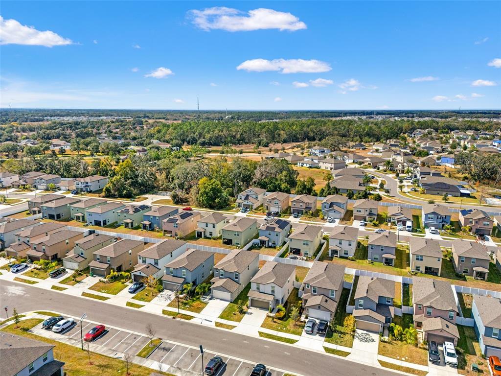 6744 Back Forty Loop Zephyrhills, FL 33541 - Photo 48 of 56