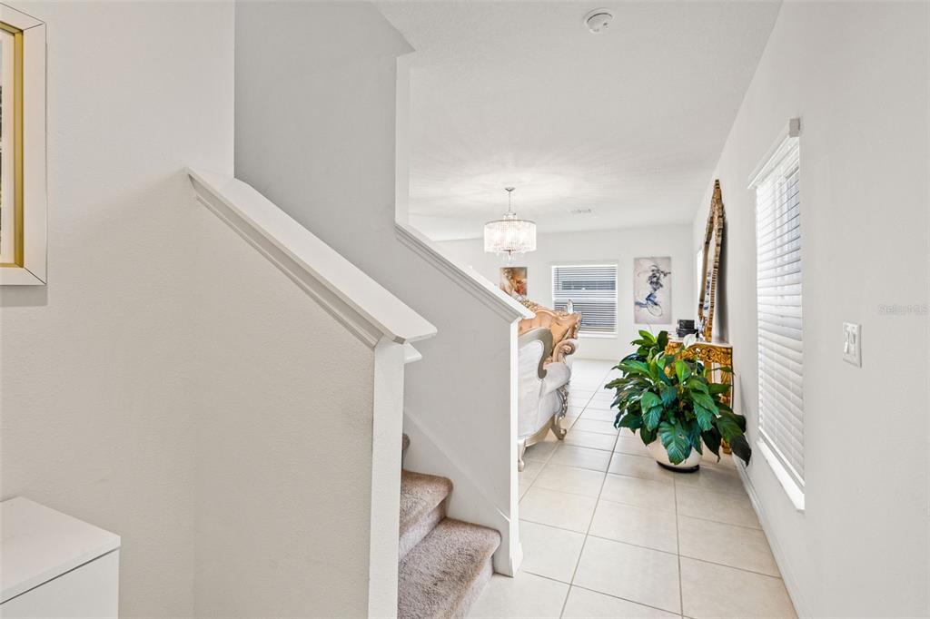 6744 Back Forty Loop Zephyrhills, FL 33541 - Photo 5 of 56