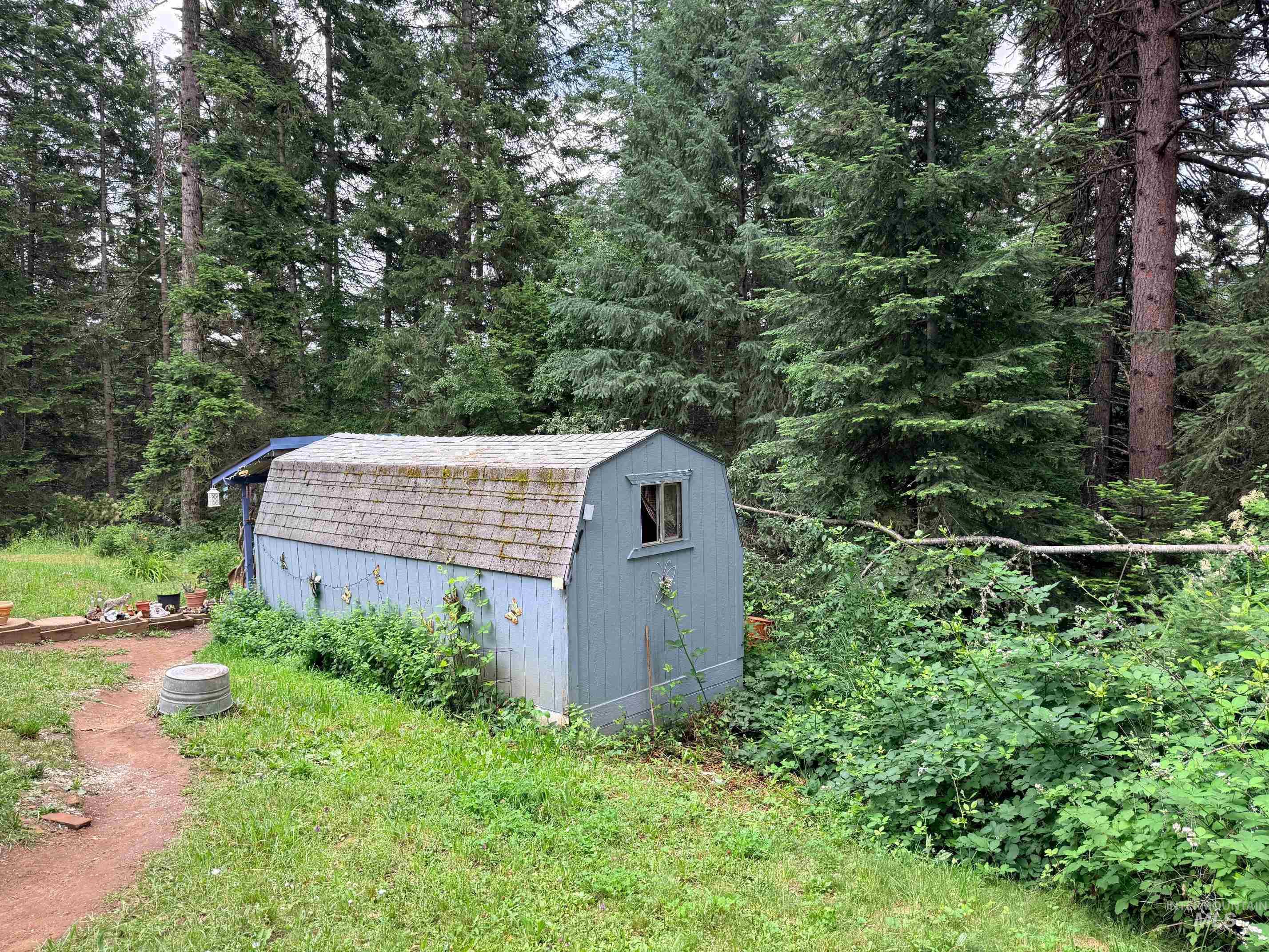 5742 Grangemont Road Orofino, ID 83544 - Photo 25 of 25 Blue barn-style shed with a shingle roof and a single window, set within a natural, wooded environment featuring mature evergreen trees