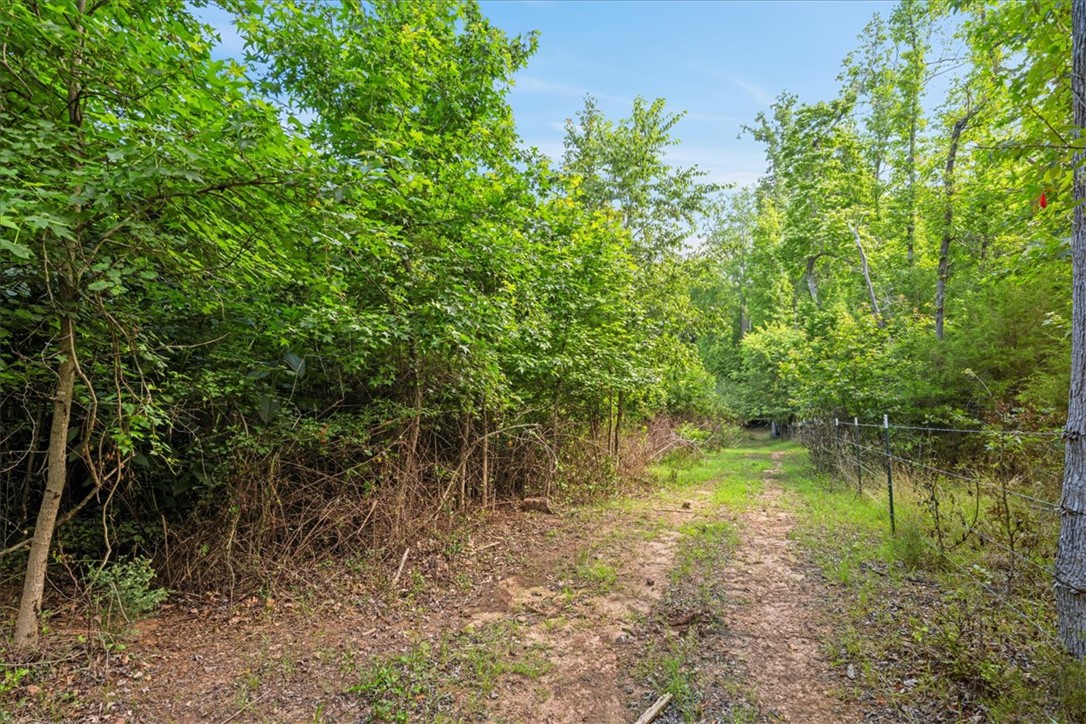 100 Princeton Highway Honea Path, SC 29654 - Photo 35 of 50 Pasture