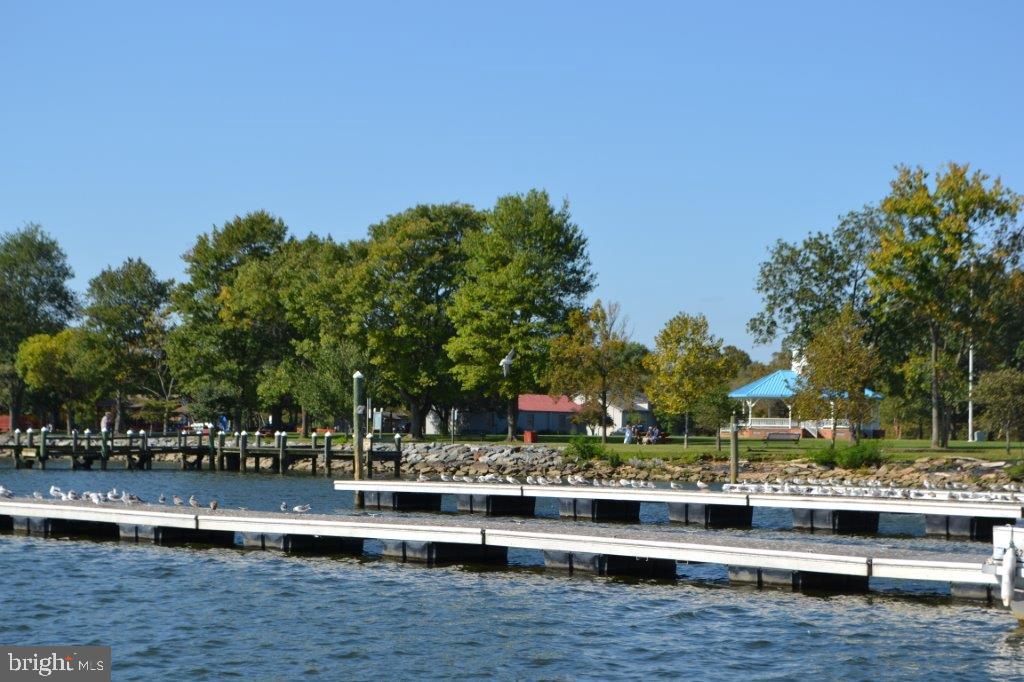 72 Shady Beach Road North East, MD 21901 - Photo 27 of 33 View of North East Town Park from Nearby Marina