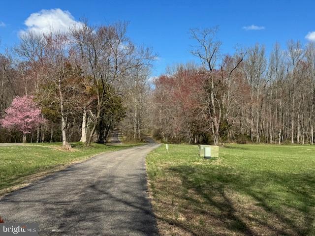 72 Shady Beach Road North East, MD 21901 - Photo 31 of 33 Springtime View of Property Lane