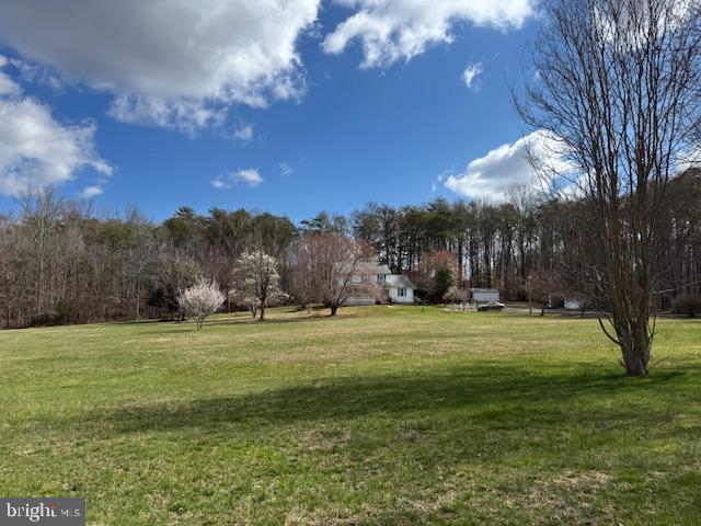 72 Shady Beach Road North East, MD 21901 - Photo 4 of 33 Plenty of Room for Horses, Children & Pets