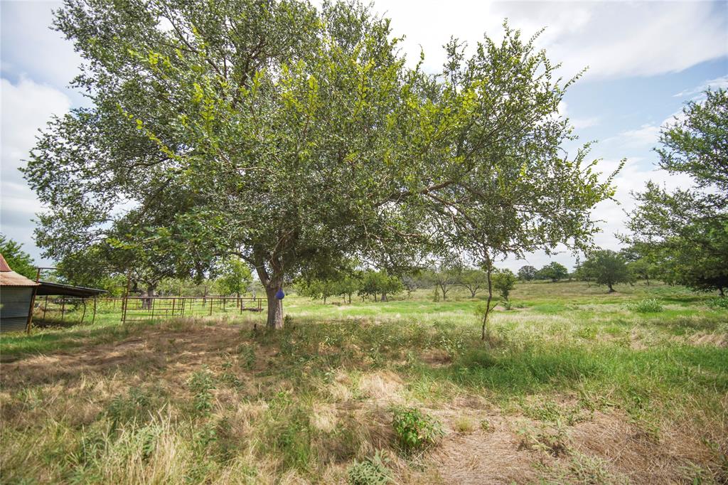 172 Valentine Road Windthorst, TX 76389 - Photo 21 of 31