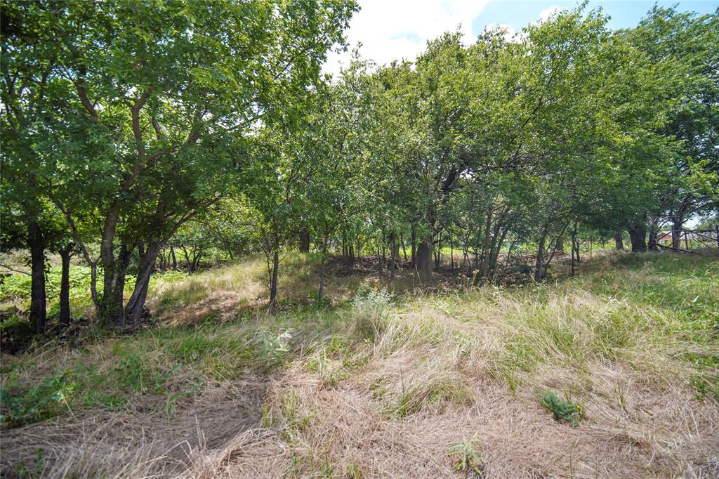 172 Valentine Road Windthorst, TX 76389 - Photo 25 of 31