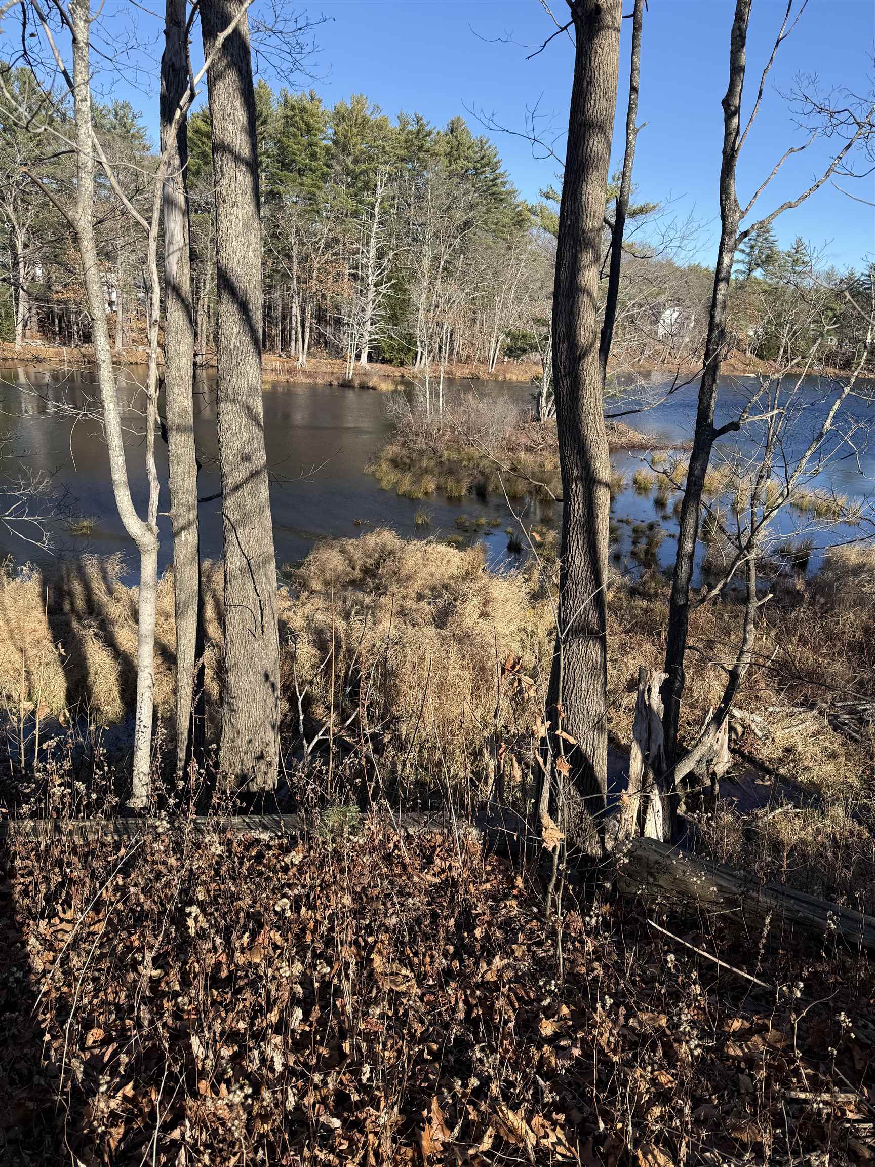 271 Main Street Union, NH 03887 - Photo 9 of 36