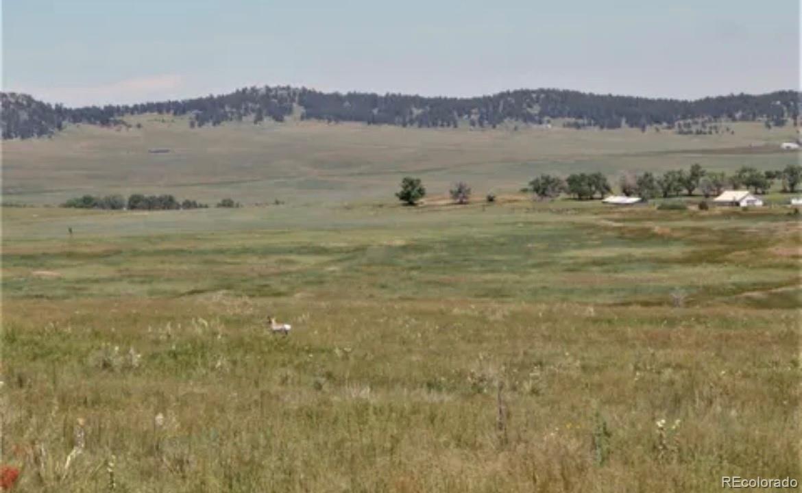 5 McClelland Road Calhan, CO 80808 - Photo 12 of 14