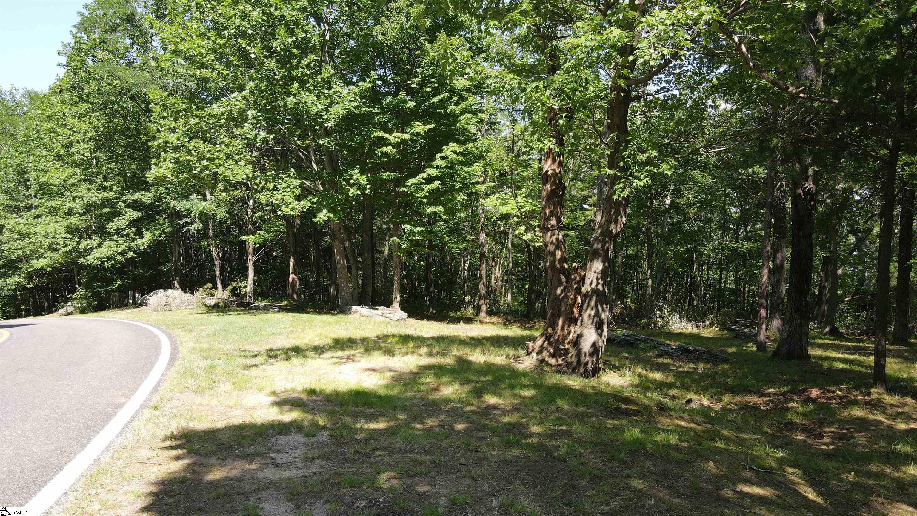 0 Southview Ledge Road, Unit LOT 62 Landrum, SC 29356 - Photo 6 of 34
