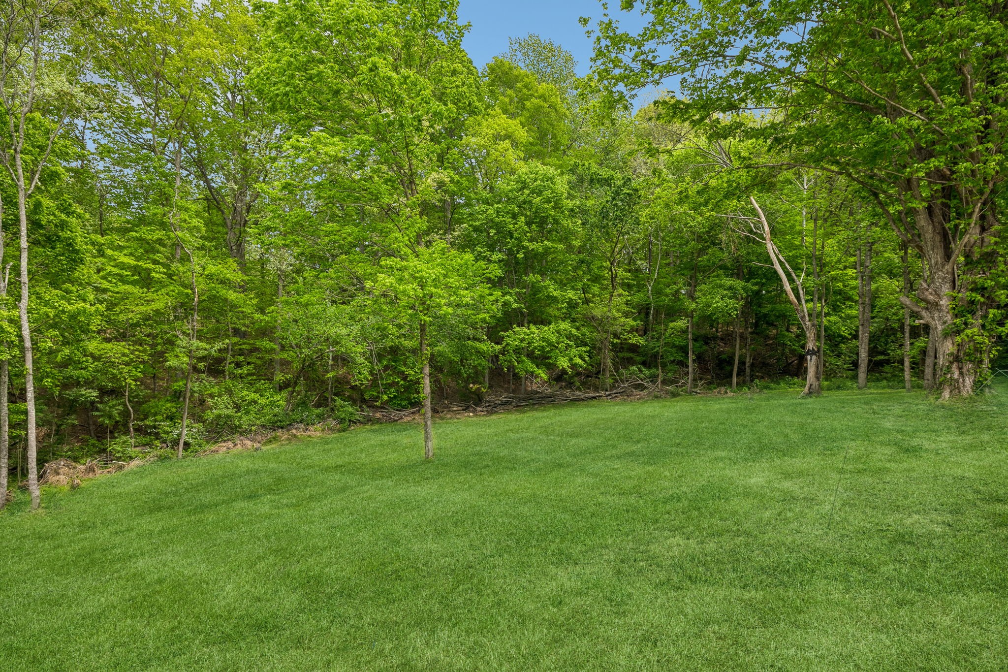 1198 Rogues Fork Road Bethpage, TN 37022 - Photo 36 of 42 Gallery Image 36