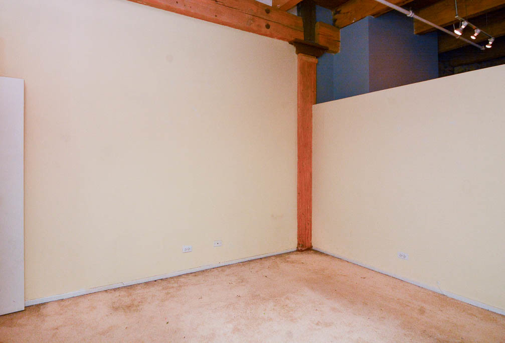 375 West Erie Street, Unit 321 Chicago, IL 60654 - Photo 12 of 19
