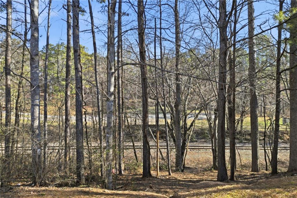 201 Arbor Hills Road North Talking Rock, GA 30175 - Photo 36 of 46 a view of a yard with of trees
