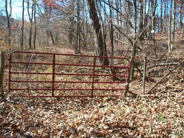 9 Joseph Chapel Road Belington, WV 26250 - Photo 12 of 18 Gallery Image 12