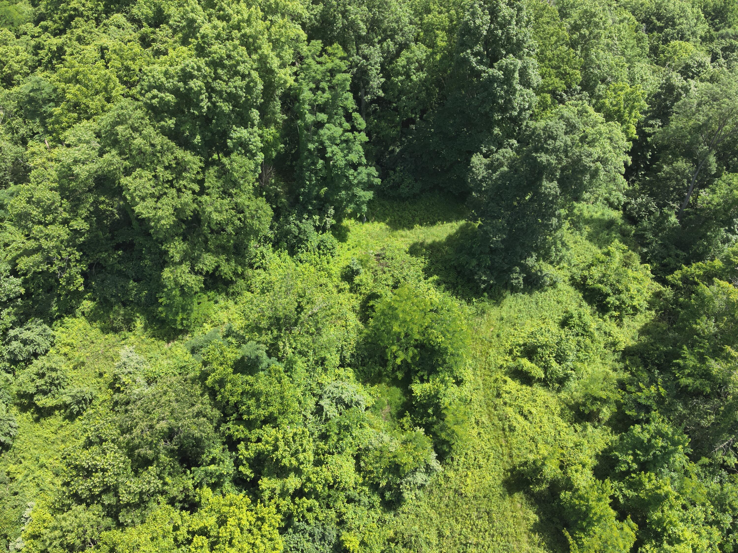 113 Lee's Creek Road Dover, KY 41034 - Photo 23 of 30 DJI_20260529151712_0007_V