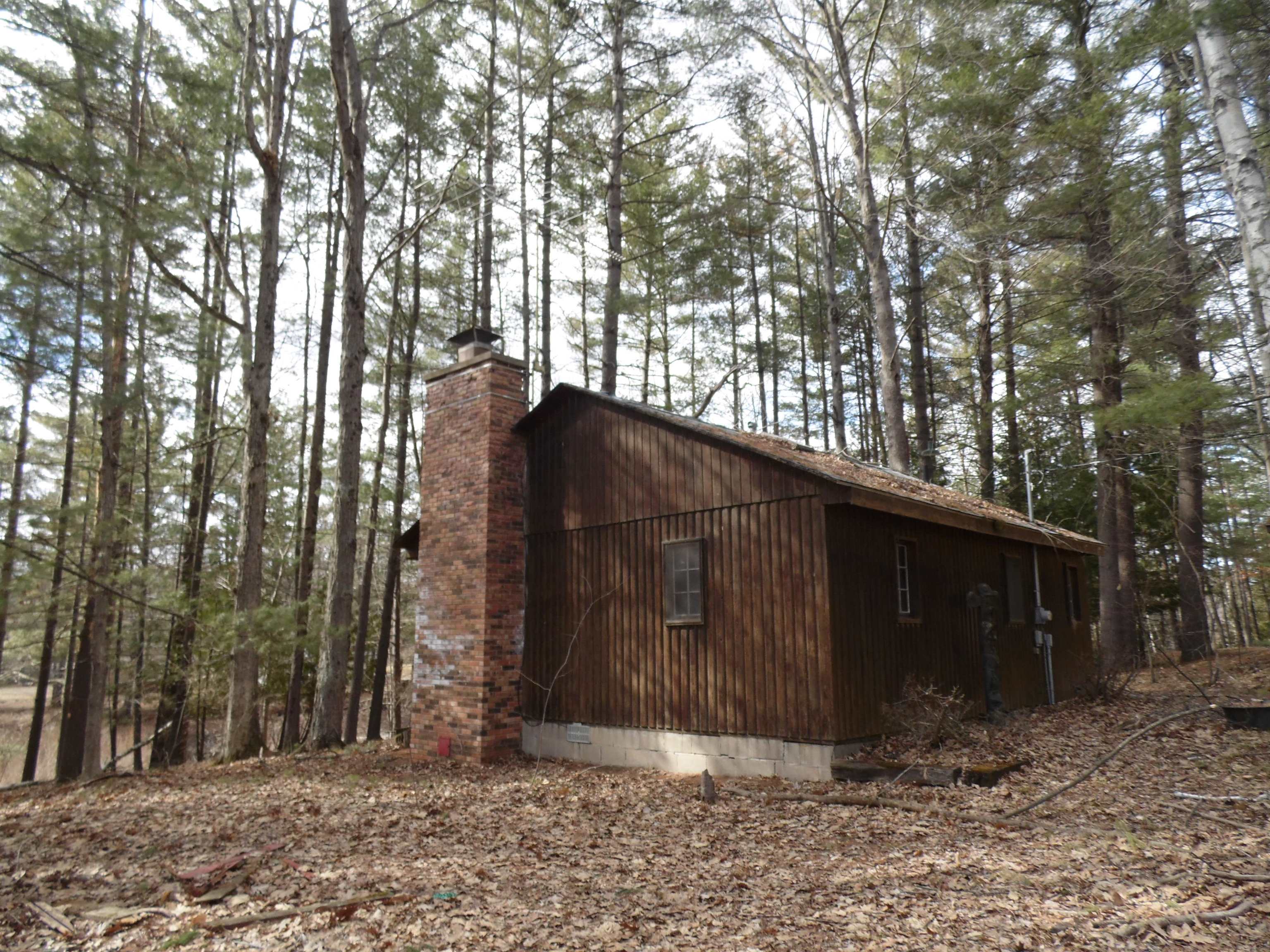 1741 South Whitney Road Beaverton, MI 48612 - Photo 20 of 56