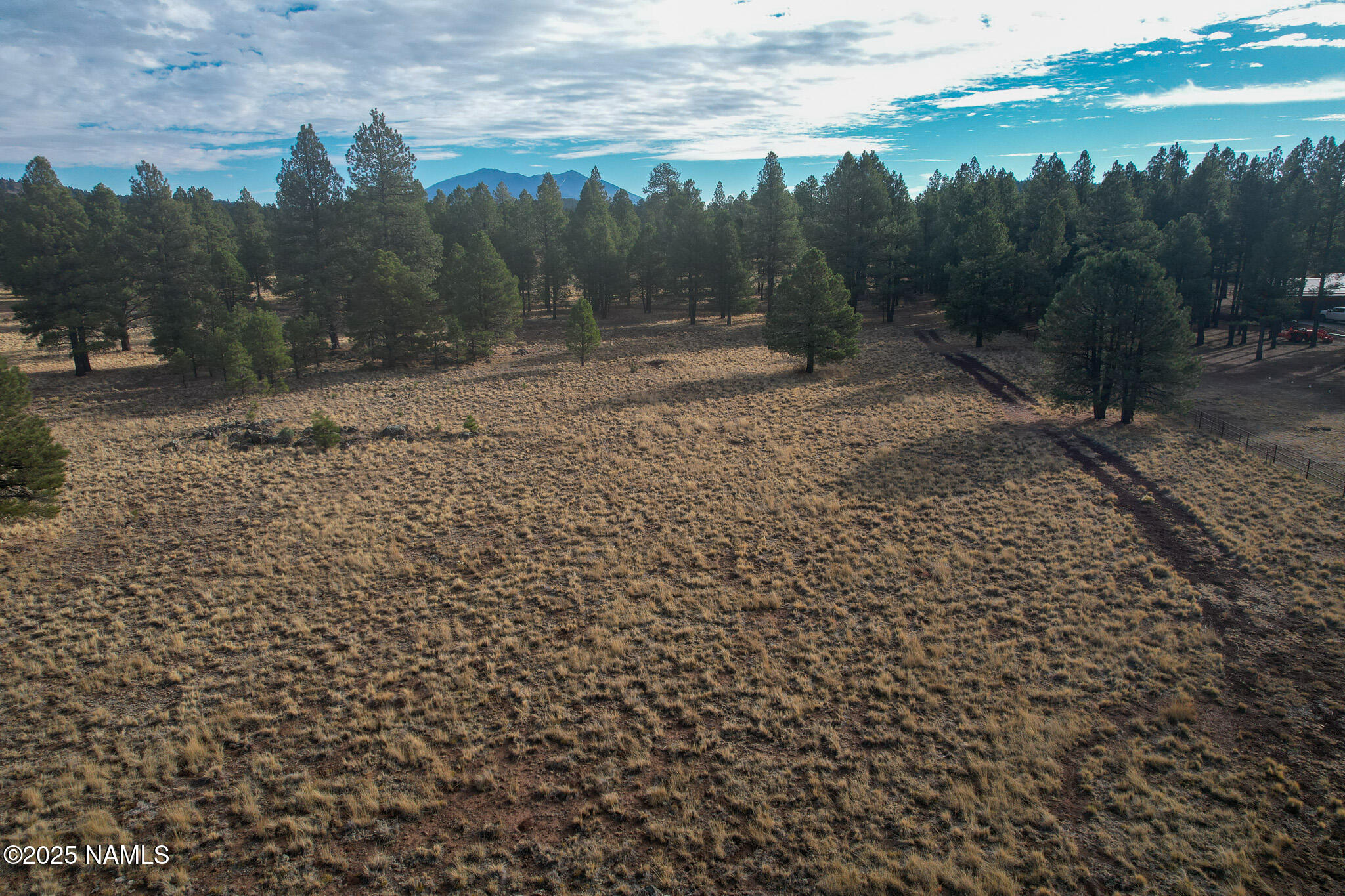 4540 Forrest Ranches Loop Parks Parks, AZ 86018 - Photo 12 of 14 a view of a yard with a tree