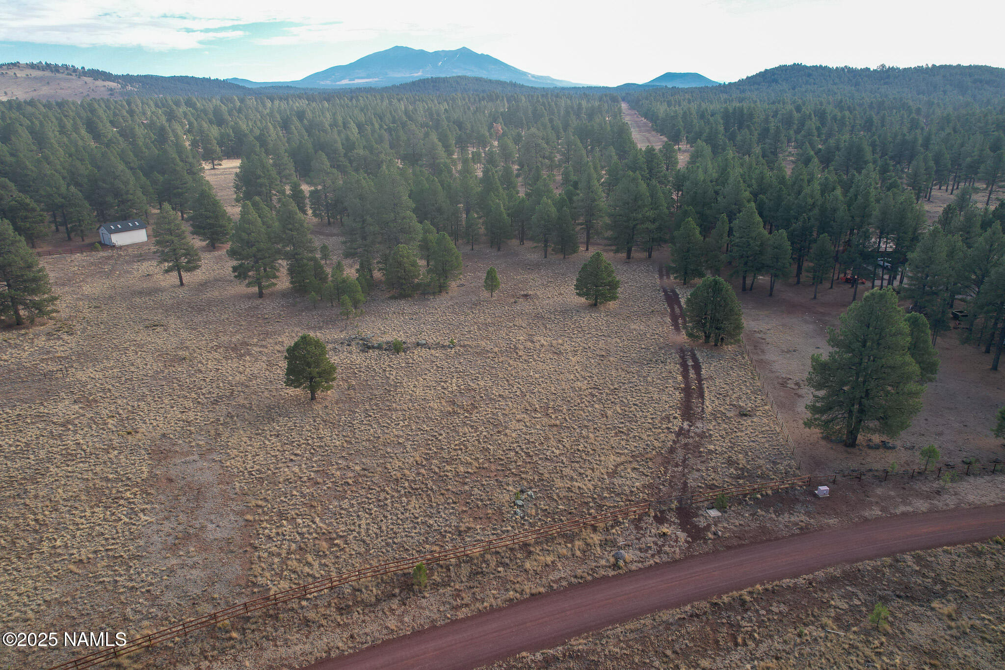 4540 Forrest Ranches Loop Parks Parks, AZ 86018 - Photo 13 of 14 a view of a backyard with trees
