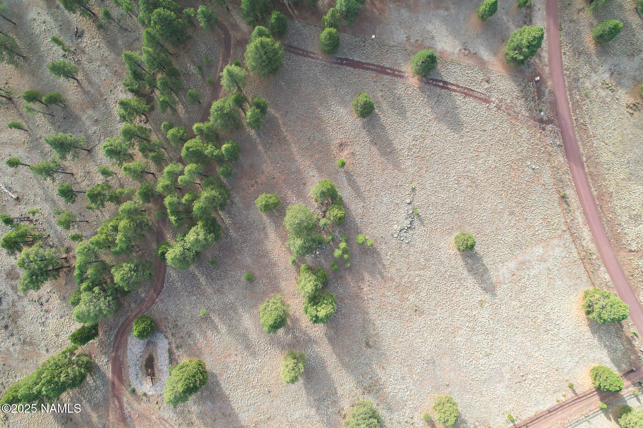 4540 Forrest Ranches Loop Parks Parks, AZ 86018 - Photo 14 of 14 a view of a plant with bathtub