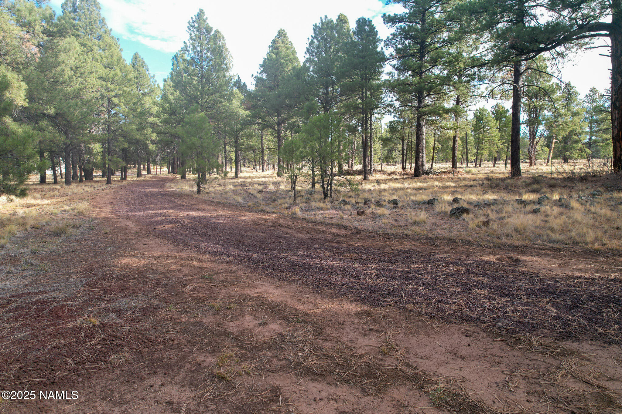 4540 Forrest Ranches Loop Parks Parks, AZ 86018 - Photo 4 of 14 a view of outdoor space with trees