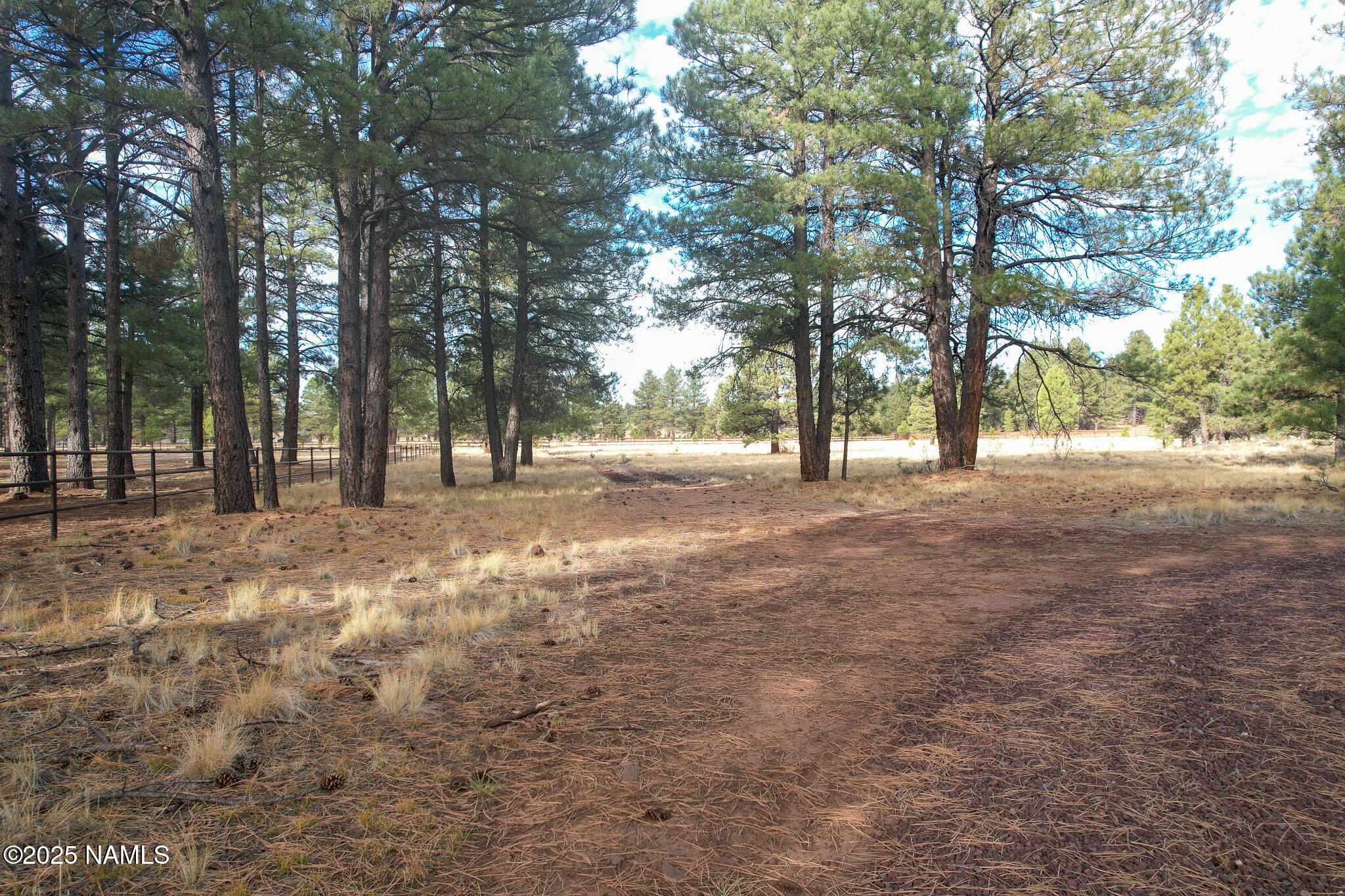 4540 Forrest Ranches Loop Parks Parks, AZ 86018 - Photo 5 of 14 a view of outdoor space with trees