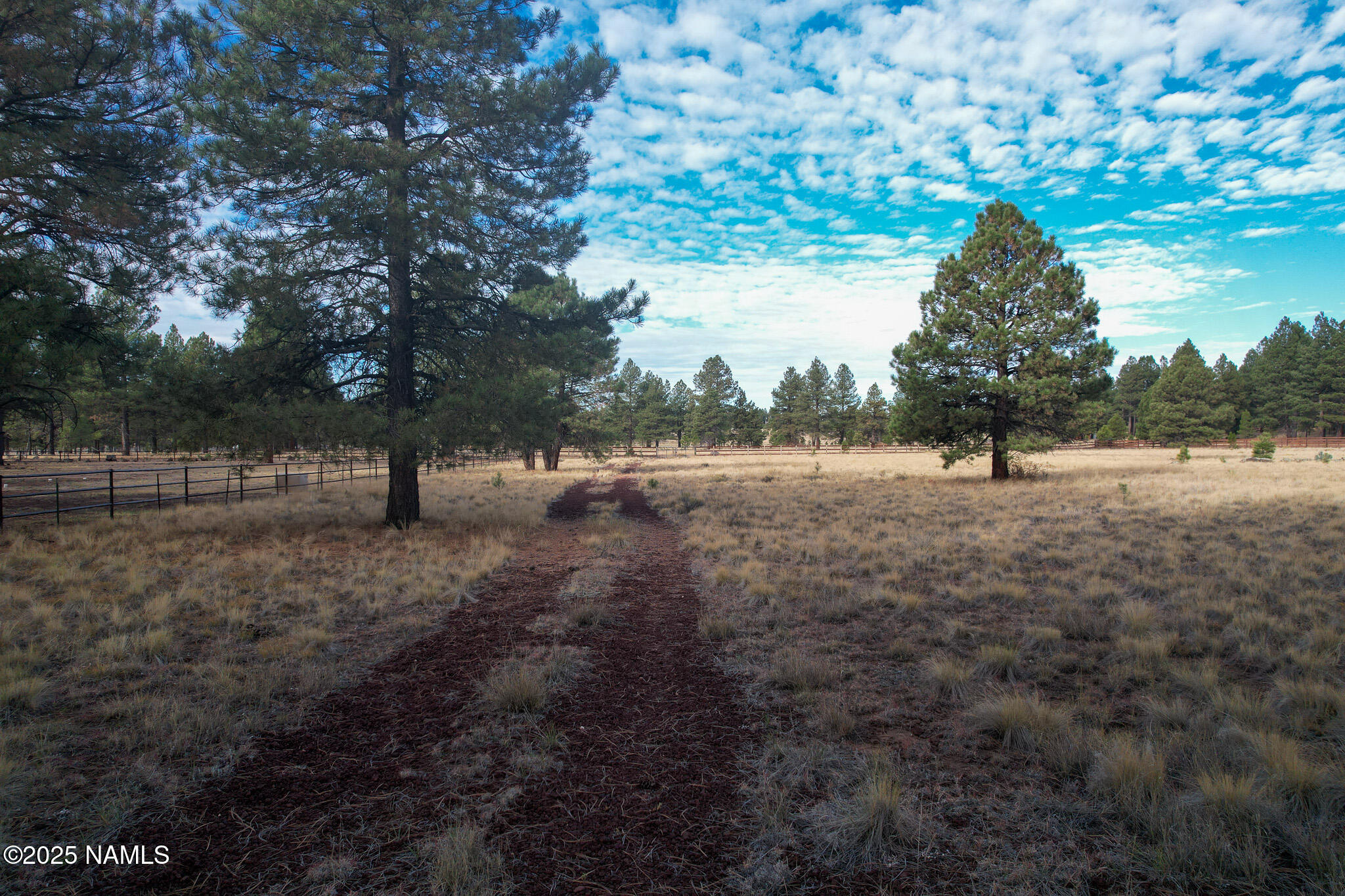 4540 Forrest Ranches Loop Parks Parks, AZ 86018 - Photo 6 of 14 a view of outdoor space with deck and yard