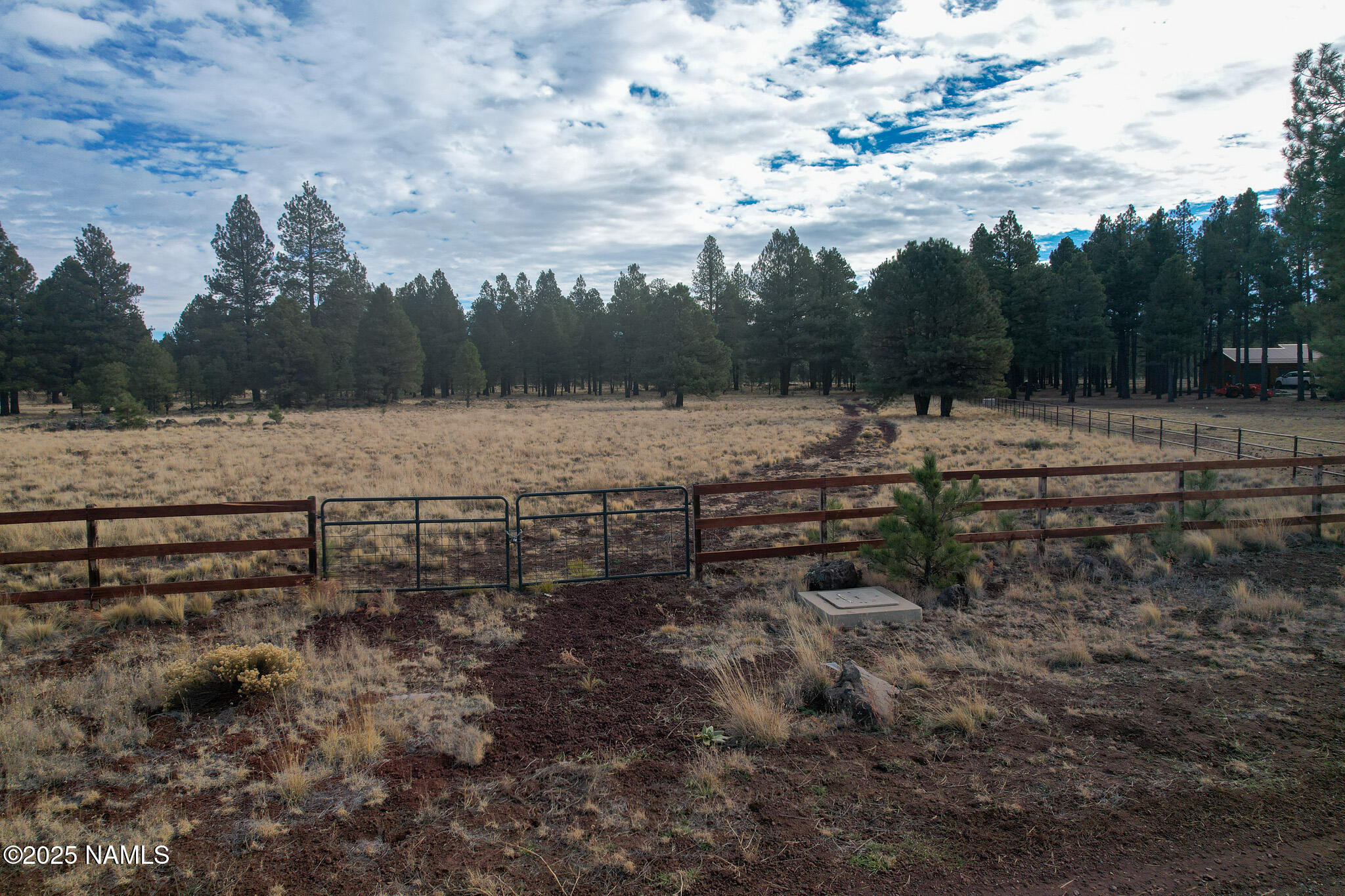 4540 Forrest Ranches Loop Parks Parks, AZ 86018 - Photo 10 of 14 a view of a yard with wooden fence