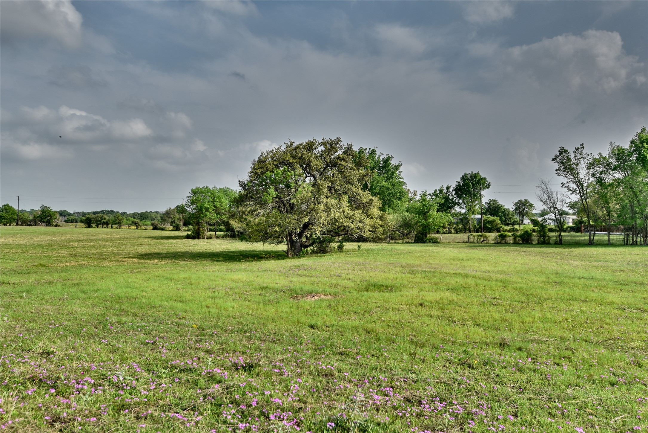 141 St Giddings Tx 78942 Giddings, TX 78942 - Photo 2 of 39 a view of a garden