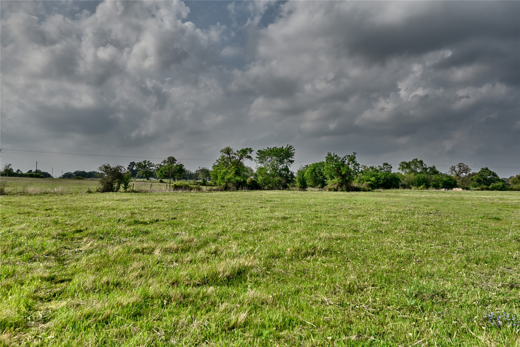 141 St Giddings Tx 78942 Giddings, TX 78942 - Photo 22 of 39 a view of a green field with lots of green space