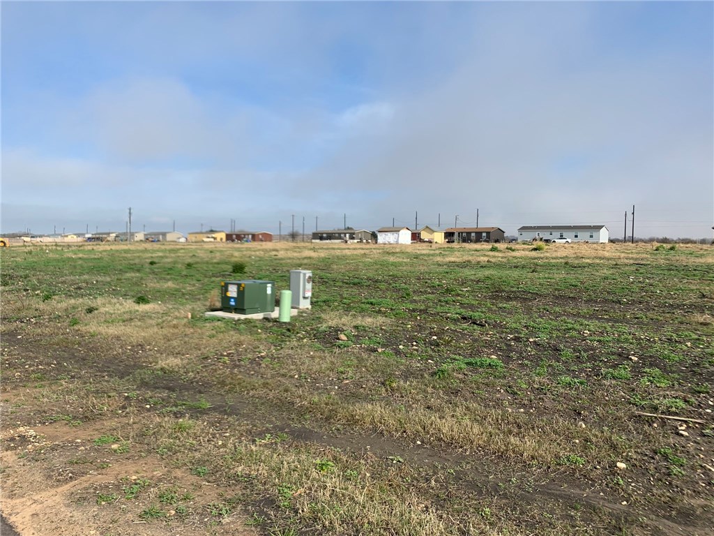 a view of a field with an ocean
