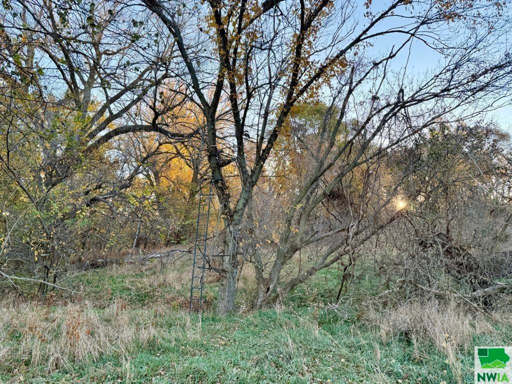 18485 Weber Road Westfield, IA 51062 - Photo 10 of 25 Gallery Image 10