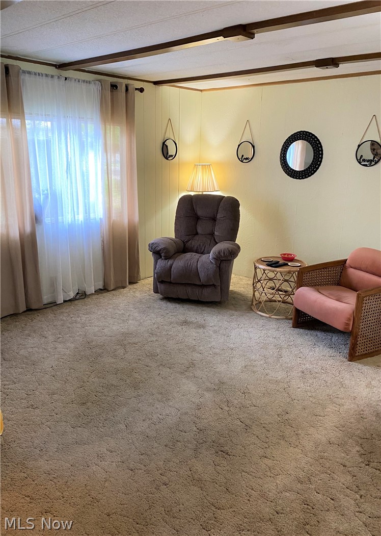 7443 Spillway Road, Unit 57 Lisbon, OH 44432 - Photo 9 of 17 Family room.